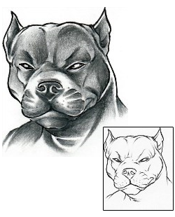 Picture of Leo Pit Bull Tattoo