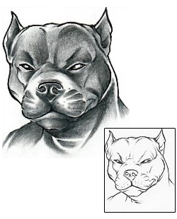 Animal Tattoo Leo Pit Bull Tattoo