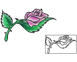 Picture of Plant Life tattoo | AXF-00512