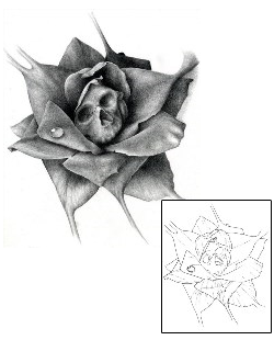 Rose Tattoo Shaded Skull Rose Tattoo