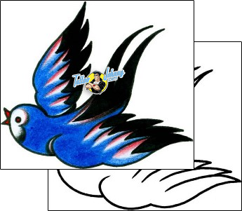 Bird Tattoo animal-bird-tattoos-captain-black-bkf-01176