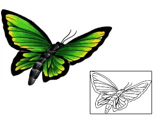 Picture of Insects tattoo | BSF-00031