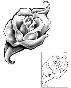 Rose Tattoo Tattoo Styles tattoo | BTF-00064
