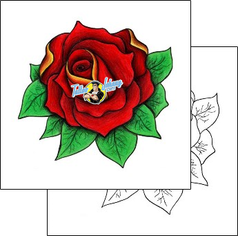 Rose Tattoo plant-life-rose-tattoos-amie-cameron-bzf-00008