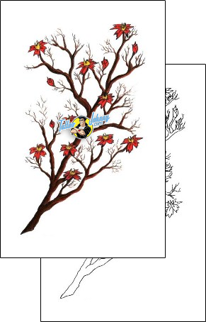 Cherry Blossom Tattoo plant-life-cherry-blossom-tattoos-amie-cameron-bzf-00017