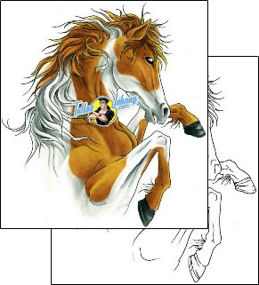 Horse Tattoo animal-horse-tattoos-cherry-creek-flash-ccf-00130