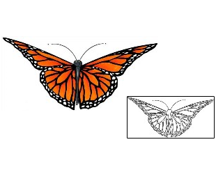 Butterfly Tattoo Insects tattoo | CCF-00136