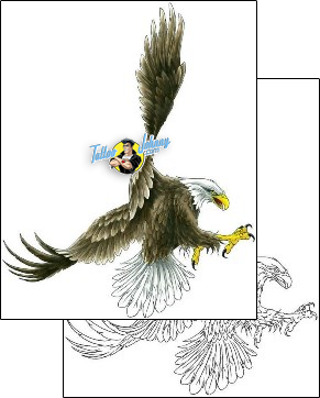 Eagle Tattoo animal-eagle-tattoos-cherry-creek-flash-ccf-00274