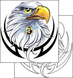 Eagle Tattoo animal-eagle-tattoos-cherry-creek-flash-ccf-00279