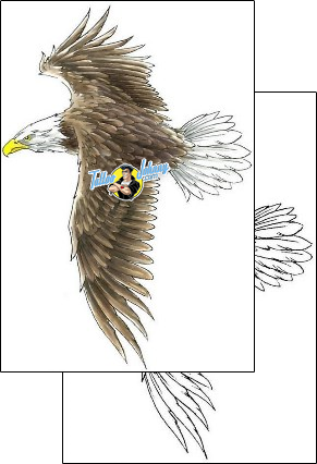 Eagle Tattoo animal-eagle-tattoos-cherry-creek-flash-ccf-00288