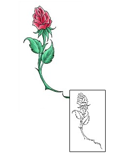 Picture of Plant Life tattoo | CCF-00408