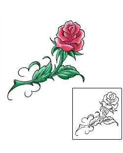 Picture of Plant Life tattoo | CCF-00419