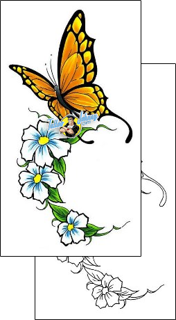 Butterfly Tattoo insects-butterfly-tattoos-cherry-creek-flash-ccf-00423