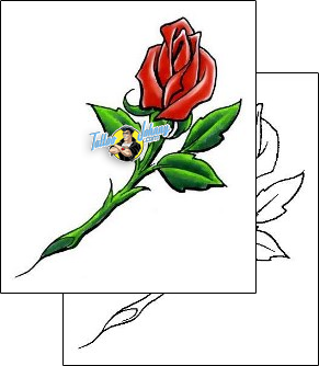 Rose Tattoo plant-life-rose-tattoos-cherry-creek-flash-ccf-00431