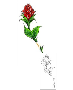 Picture of Plant Life tattoo | CCF-00441