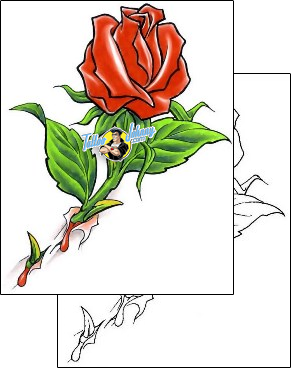 Rose Tattoo plant-life-rose-tattoos-cherry-creek-flash-ccf-00443