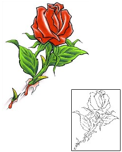 Rose Tattoo Plant Life tattoo | CCF-00443