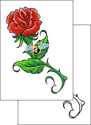 Rose Tattoo plant-life-rose-tattoos-cherry-creek-flash-ccf-00447