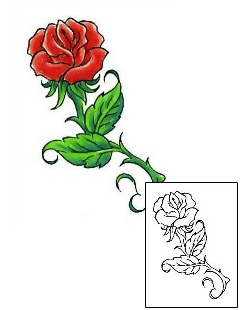 Picture of Plant Life tattoo | CCF-00447