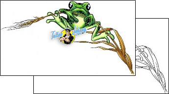 Frog Tattoo reptiles-and-amphibians-frog-tattoos-cherry-creek-flash-ccf-00730