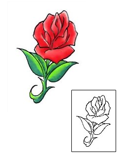 Picture of Plant Life tattoo | CCF-00739