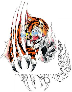 Tiger Tattoo animal-tiger-tattoos-cherry-creek-flash-ccf-00862
