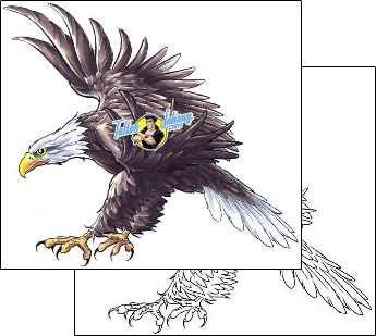 Eagle Tattoo animal-eagle-tattoos-cherry-creek-flash-ccf-00990