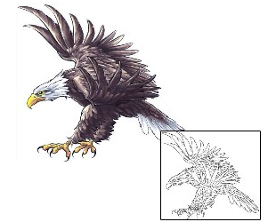 Eagle Tattoo Animal tattoo | CCF-00990