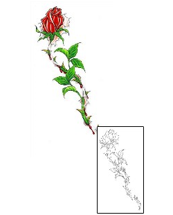 Rose Tattoo Plant Life tattoo | CCF-01005