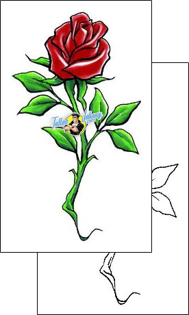 Rose Tattoo plant-life-rose-tattoos-cherry-creek-flash-ccf-01006