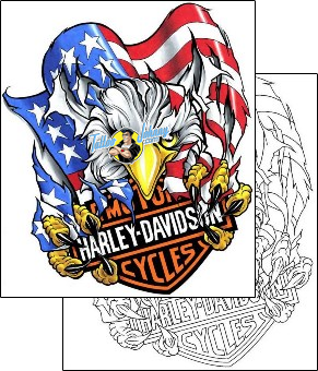 Eagle Tattoo animal-eagle-tattoos-cherry-creek-flash-ccf-01009