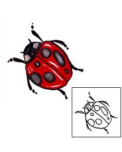 Ladybug Tattoo Insects tattoo | CHF-00109
