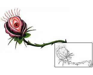 Rose Tattoo Tattoo Styles tattoo | CLF-00039