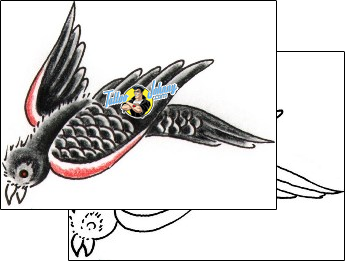 Bird Tattoo animal-bird-tattoos-chris-amlie-clf-00056