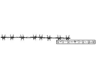Barbed Wire Tattoo Specific Body Parts tattoo | D2F-00140