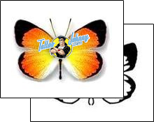 Butterfly Tattoo insects-butterfly-tattoos-david-bollt-dbf-00267