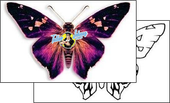 Butterfly Tattoo dbf-00271