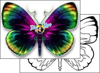 Butterfly Tattoo butterfly-tattoos-david-bollt-dbf-00273