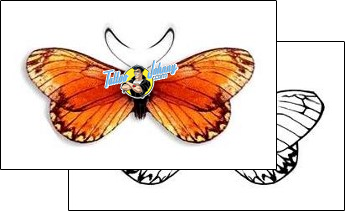 Butterfly Tattoo insects-butterfly-tattoos-david-bollt-dbf-00283