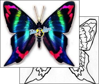 Butterfly Tattoo butterfly-tattoos-david-bollt-dbf-00286