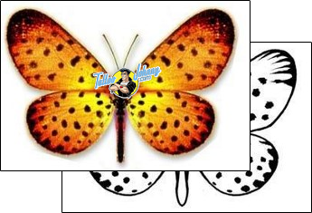 Butterfly Tattoo for-women-wings-tattoos-david-bollt-dbf-00288