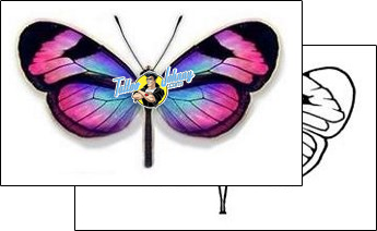 Butterfly Tattoo insects-butterfly-tattoos-david-bollt-dbf-00290