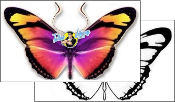 Butterfly Tattoo insects-butterfly-tattoos-david-bollt-dbf-00293