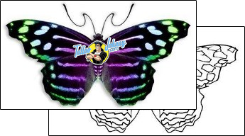 Butterfly Tattoo for-women-wings-tattoos-david-bollt-dbf-00294