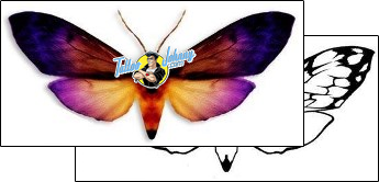 Butterfly Tattoo butterfly-tattoos-david-bollt-dbf-00296