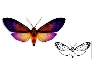 Butterfly Tattoo DBF-00296