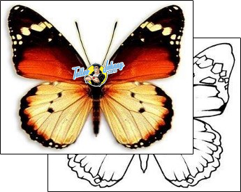Butterfly Tattoo butterfly-tattoos-david-bollt-dbf-00298