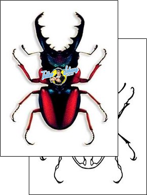 Beetle Tattoo insects-tattoos-david-bollt-dbf-00299