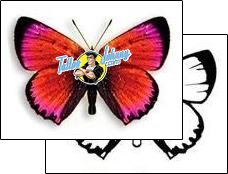 Butterfly Tattoo dbf-00300