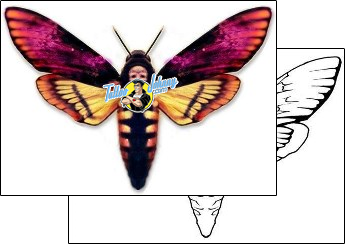 Moth Tattoo insects-moth-tattoos-david-bollt-dbf-00305